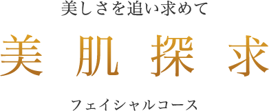 美しさを追い求めて 美肌探求フェイシャルコース